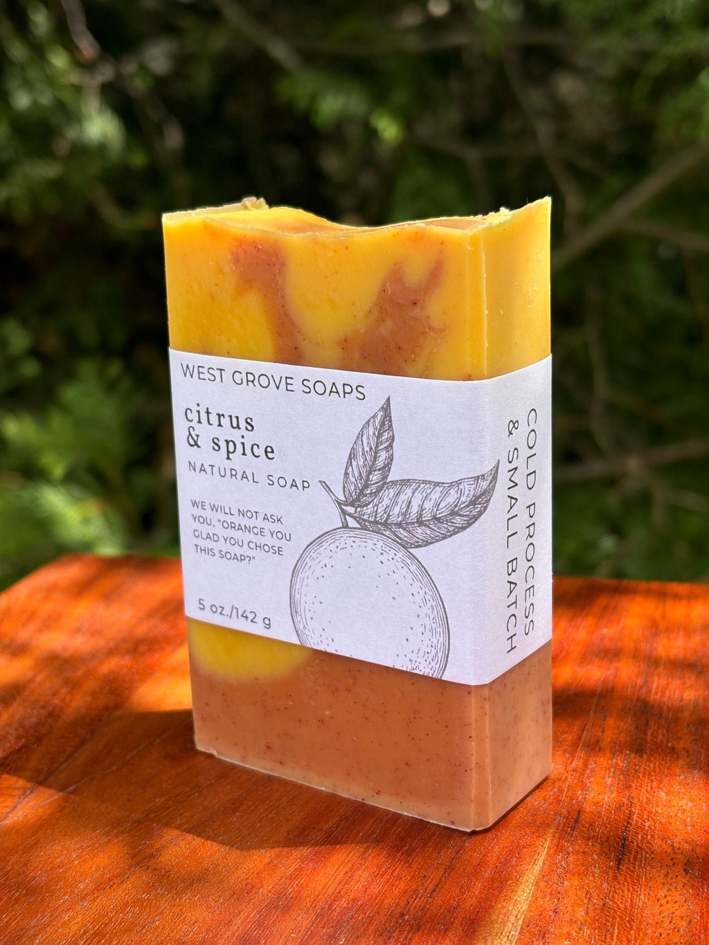 Citrus & Spice (Blood Orange) 5 oz. Body Bar Soap- Signature Suds Collection - Plant-Based