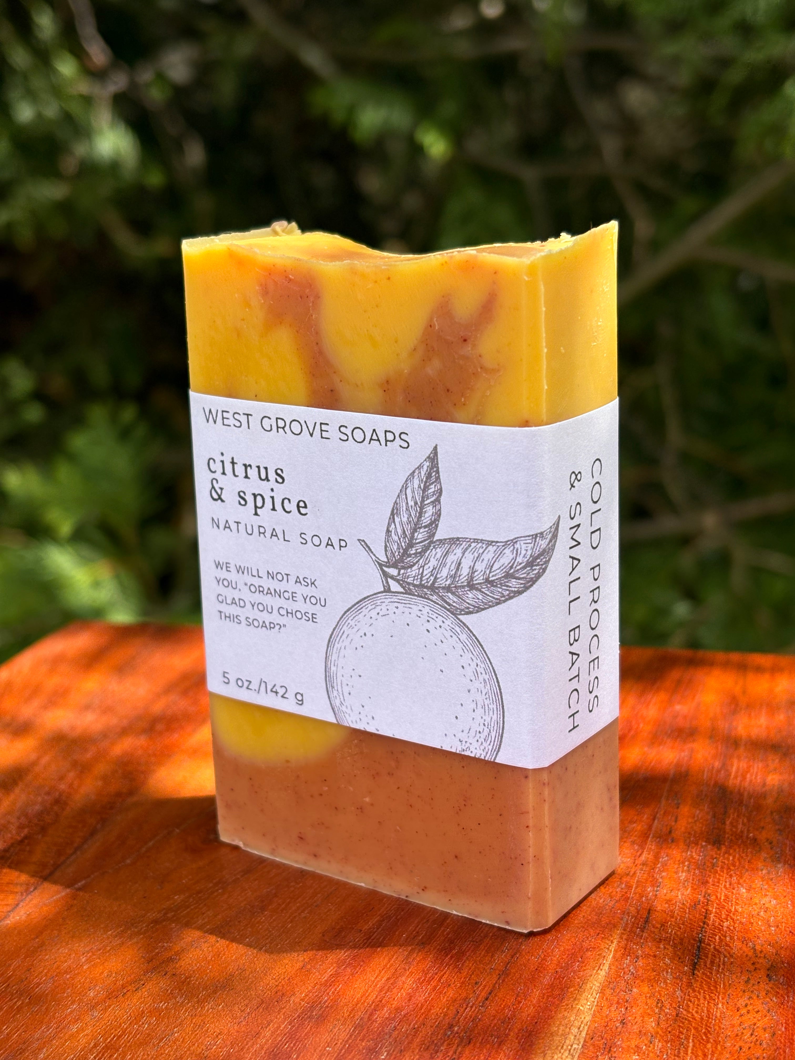 Citrus & Spice (Blood Orange) 5 oz. Body Bar Soap- Signature Suds Collection - Plant-Based