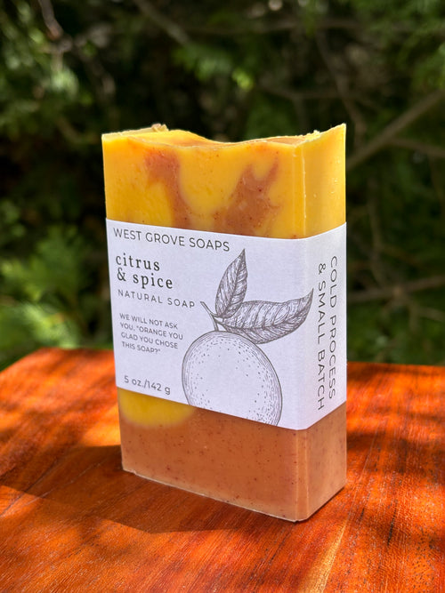 Citrus & Spice (Blood Orange) 5 oz. Body Bar Soap- Signature Suds Collection - Plant-Based