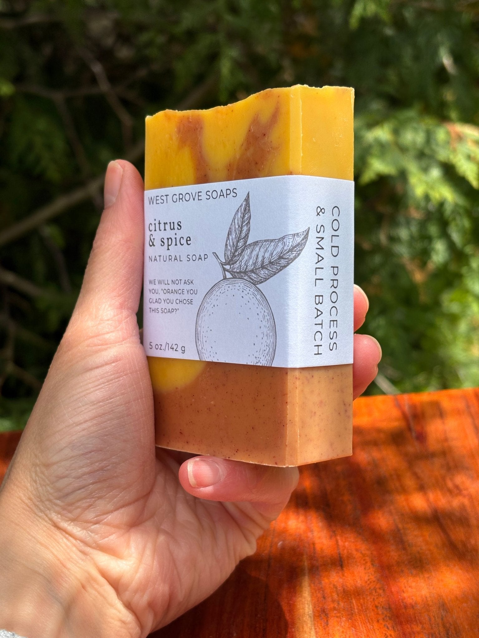 Citrus & Spice (Blood Orange) 5 oz. Body Bar Soap - Signature Suds Collection - Plant - Based - West Grove Soaps