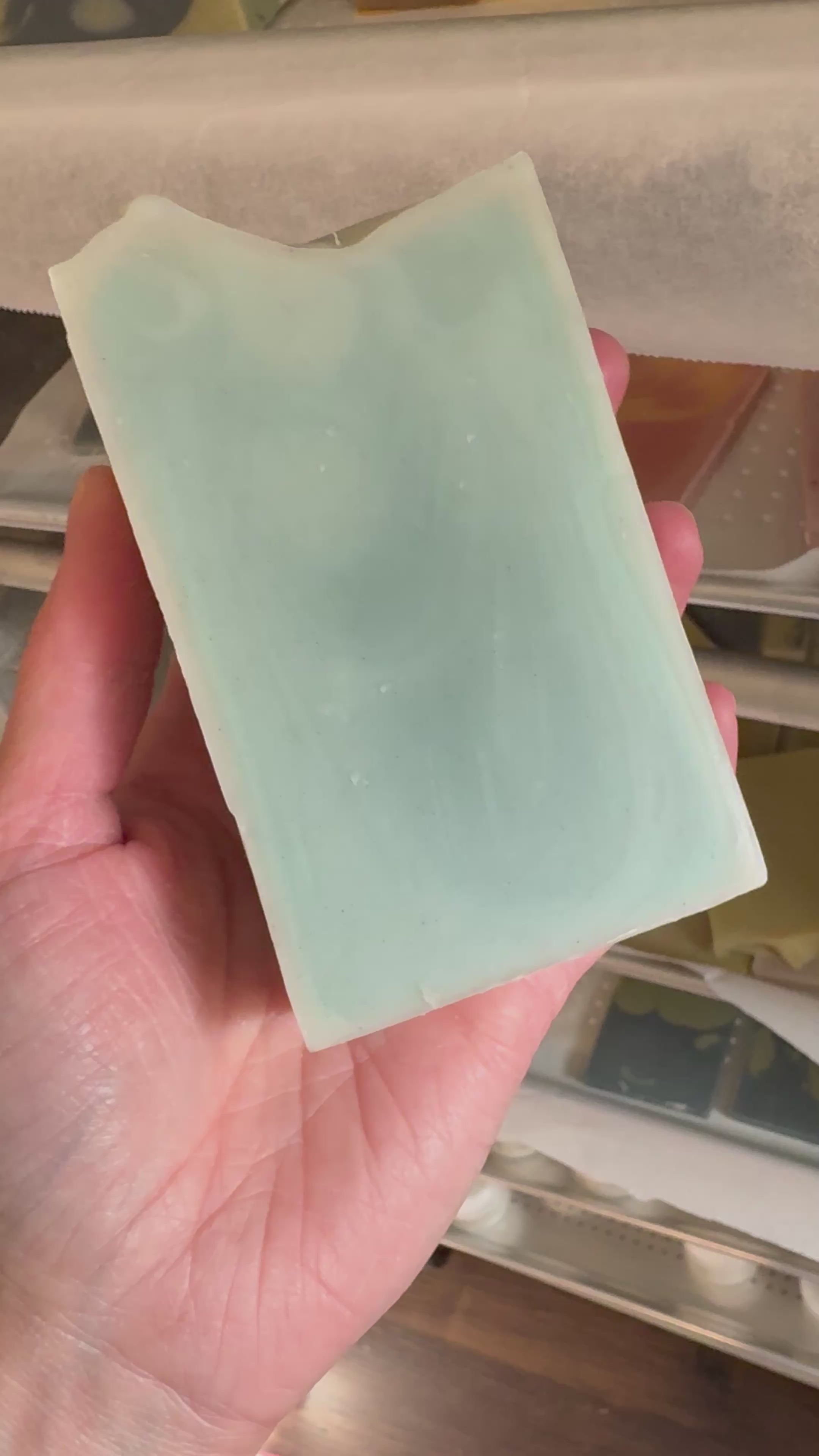 Signature Suds Collection - 5oz Body Soap Bars